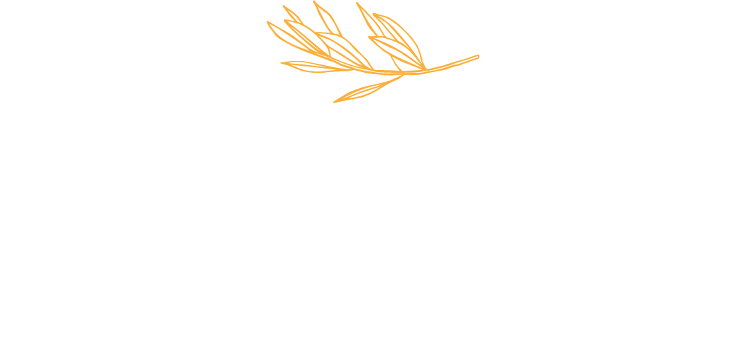 Bayan & Co