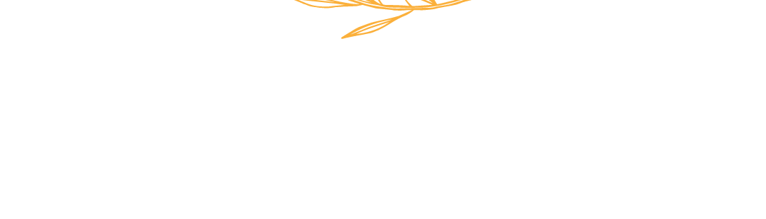 Bayan & Co